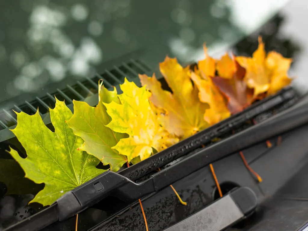 samochód jesienią wycieraczki